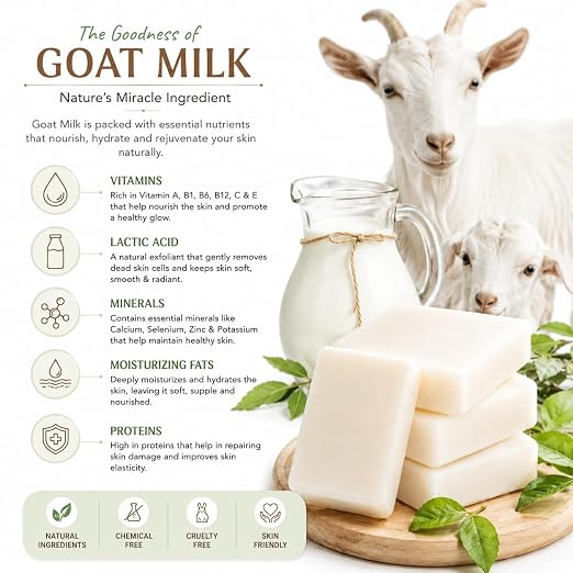 Goat Milk Soap Pack of 12 (25g Each) | Moisturizing Bath Soap for Dry & Sensitive Skin | Handmade Natural Soap with Goat Milk | Gentle Cleansing & Nourishing Skin Care Bar - Image 4